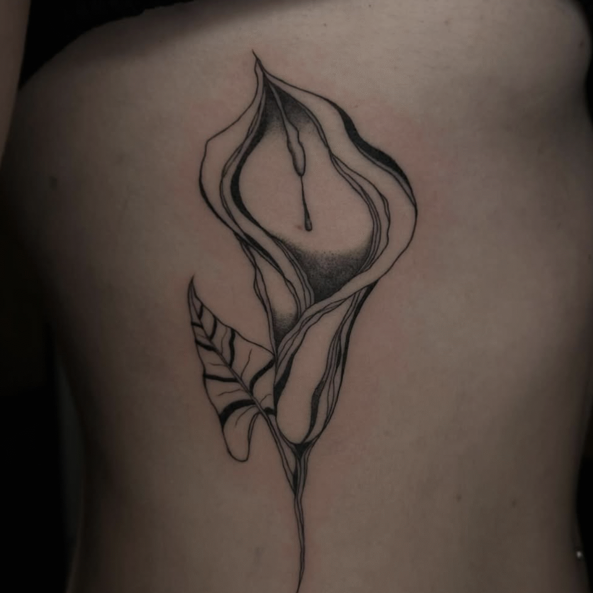 Bildschirmfoto 2025-01-28 um 00.02.29