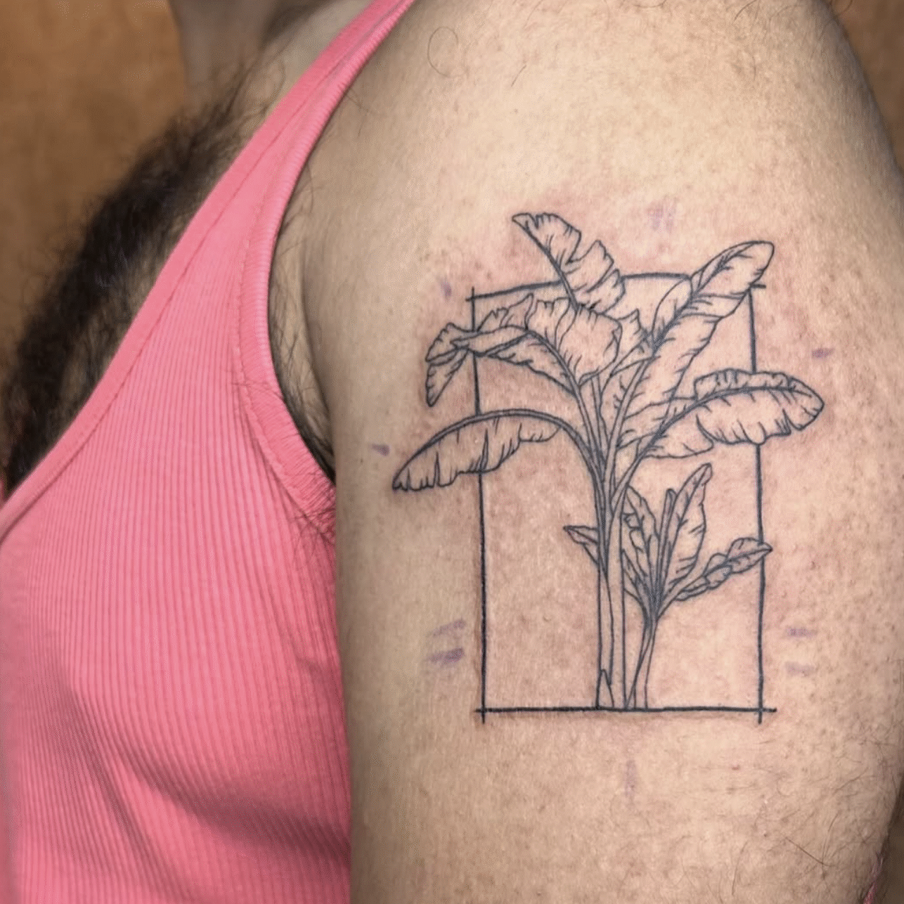 Bildschirmfoto 2025-01-28 um 00.03.07