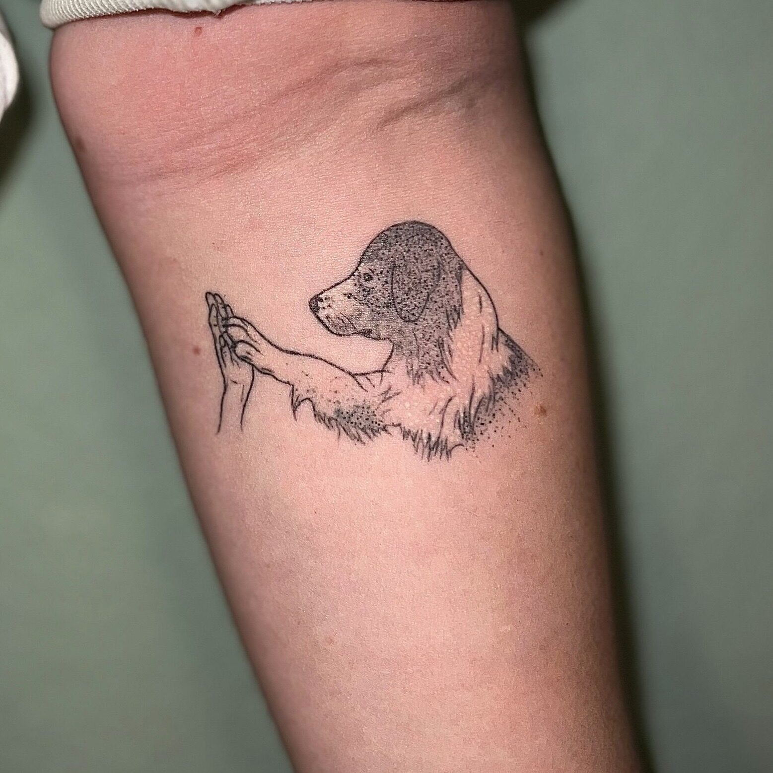 e803dbee-8d22-4a59-8f8e-996929ebd02e 2